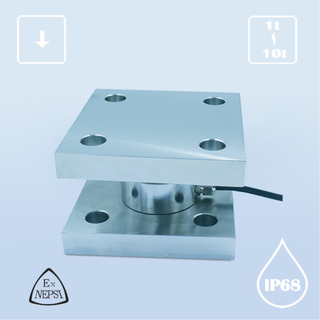 T004 weighing module